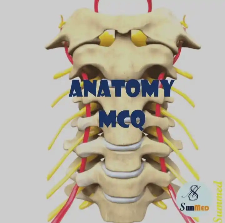 anatomy mcq